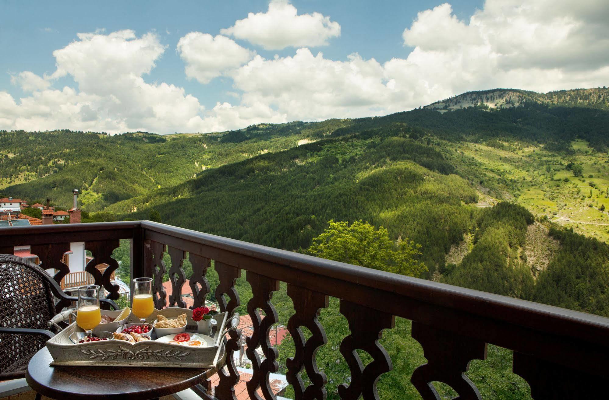 Aroma Dryos Spa & Eco Hotel Metsovo Esterno foto